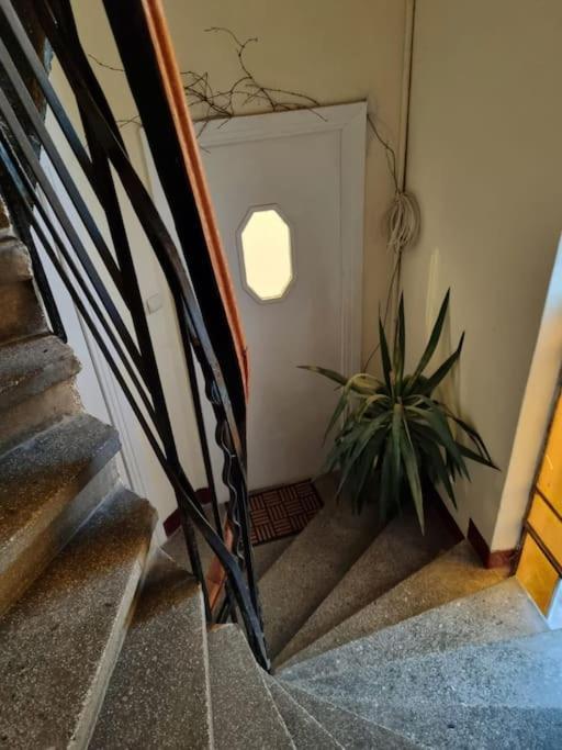 Cozy Apartment Near City Center 부쿠레슈티 외부 사진